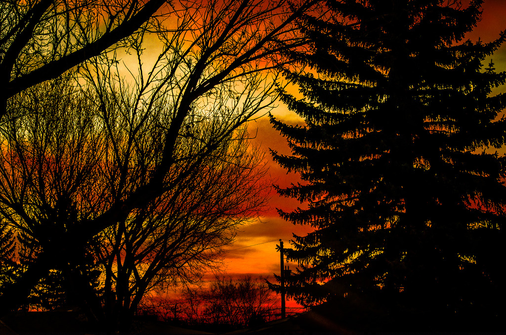 15821420518_d43d140edf_b